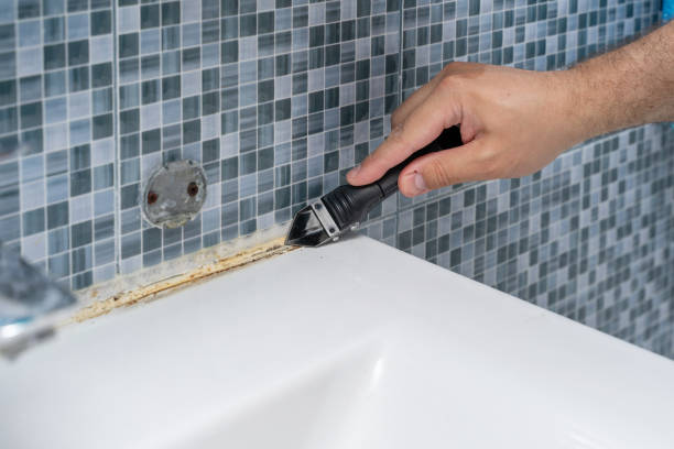 Best Best Mold Removal Companies  in Resaca, GA